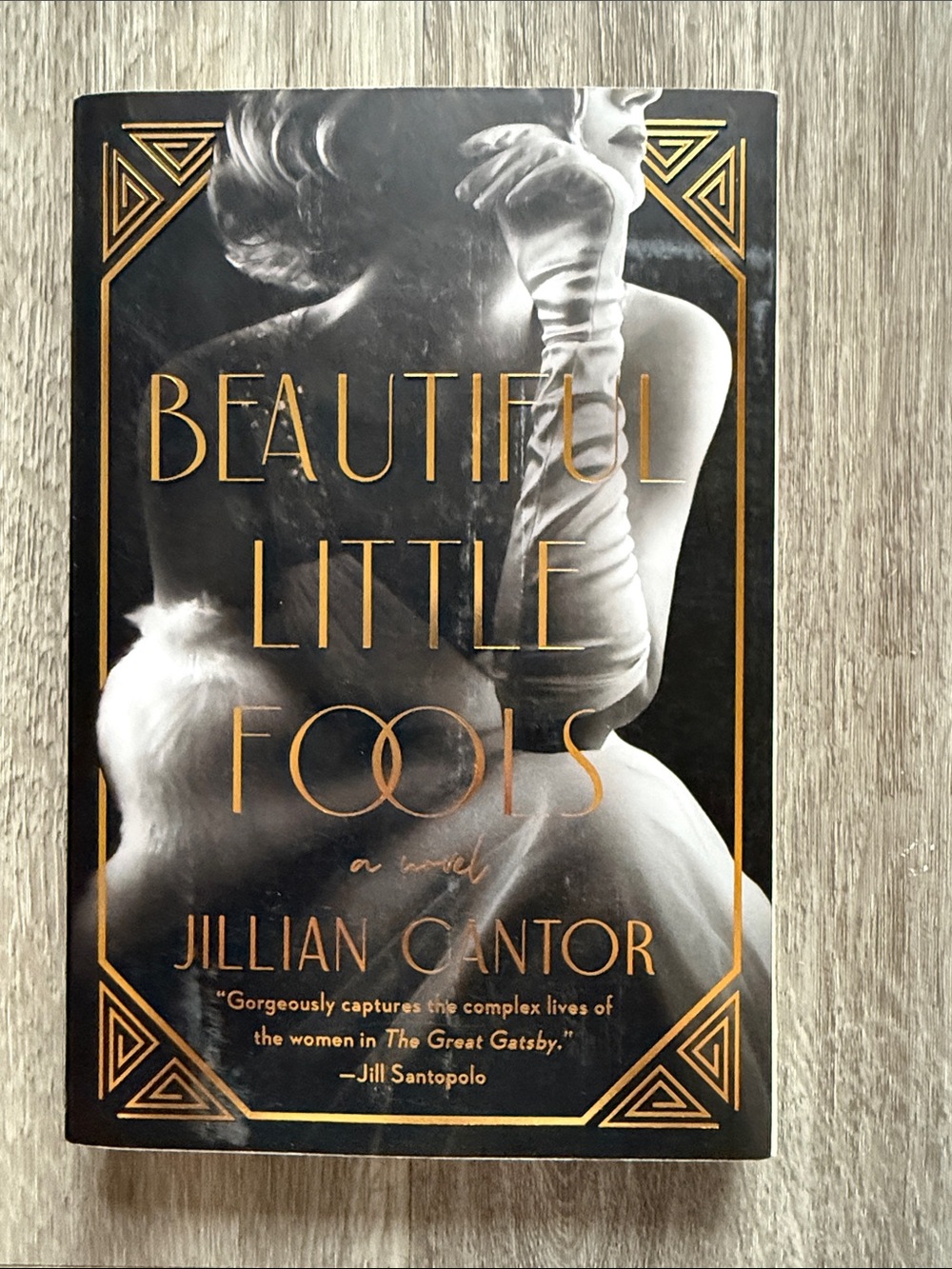 Beautiful Little Fools by Jillian Cantor - Paperback